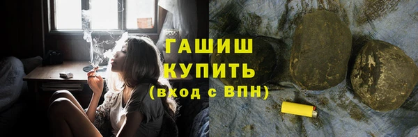 индика Бородино