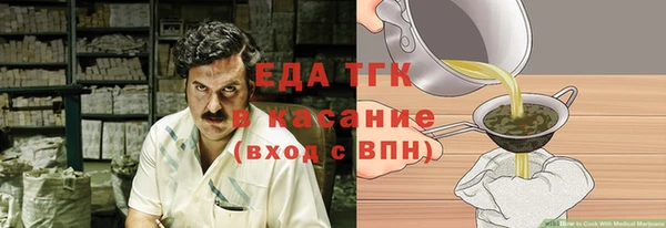 индика Бородино
