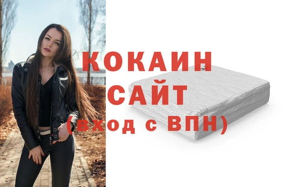 индика Бородино