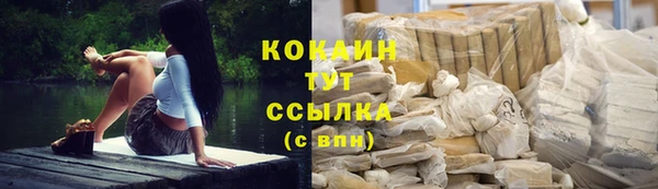 индика Бородино