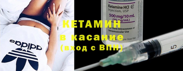 индика Бородино