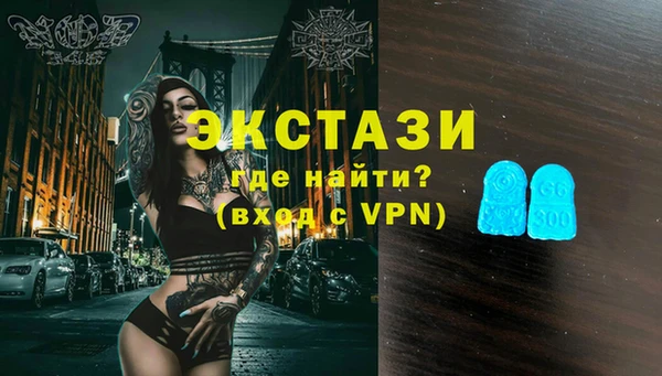 индика Бородино