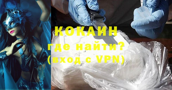 индика Бородино