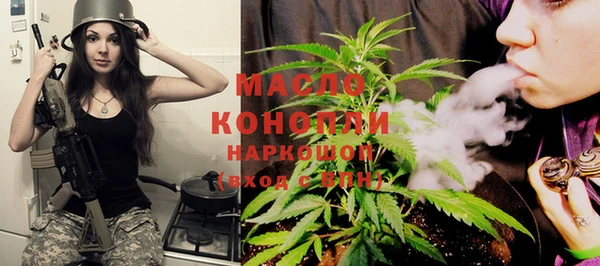 индика Бородино