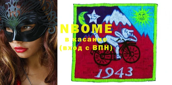 индика Бородино