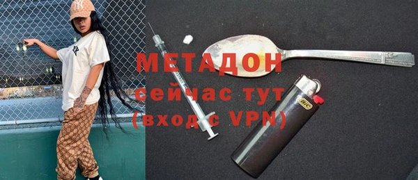 индика Бородино