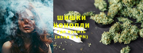 сатива Богородицк