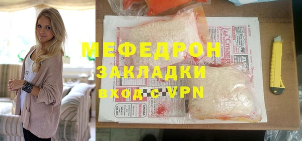 индика Бородино