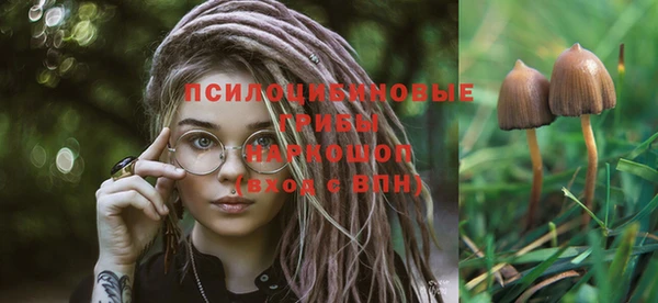 мескалин Бронницы