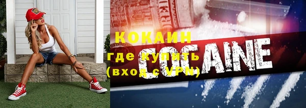 индика Бородино